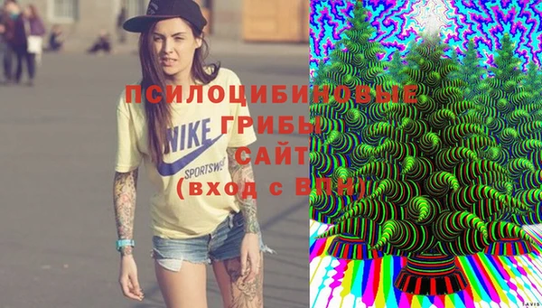 соль ск Абаза