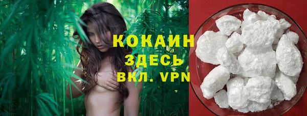 соль ск Абаза